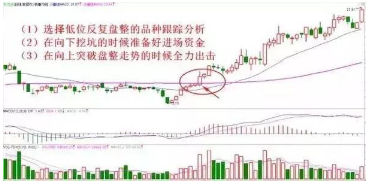 体彩排列5走势图专业版，深度解析与策略探讨