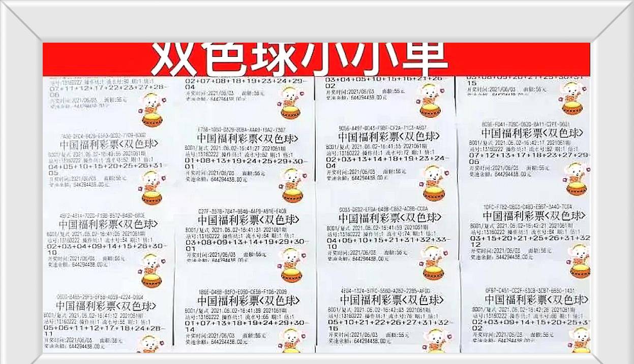 双色球2021061期开奖号码查询，揭秘幸运之门背后的秘密