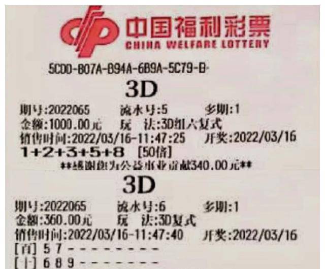 探索彩票新境界，3D直选1000注全部号码的秘密