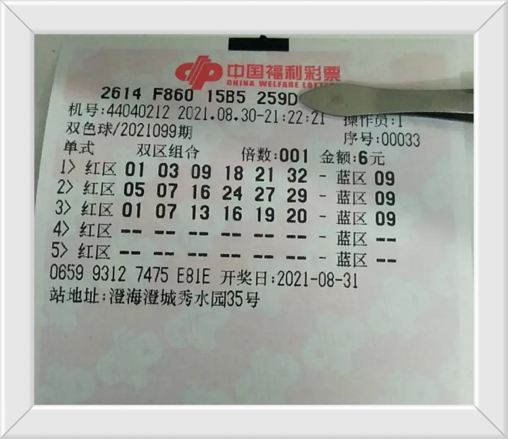 双色球今天开奖结果号码预测，揭秘彩票背后的秘密