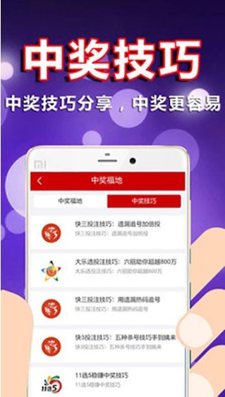 双今天开奖结果查询系统——高效、便捷的彩票信息查询新体验