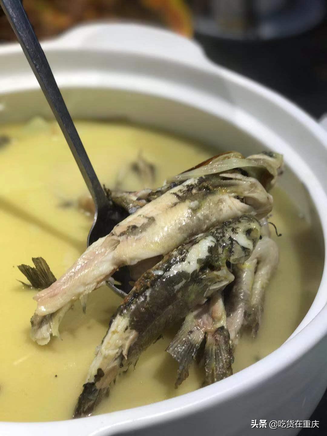 重庆时时开彩最新结果查询，探索彩票的魅力与机遇