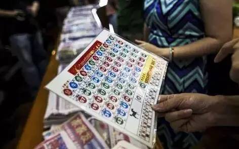 香港澳门六合彩第9596期开奖号码及结果解析