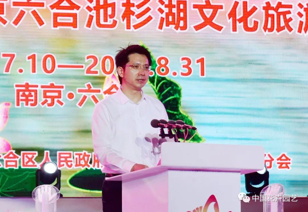 澳门六合走势图大全最新开奖结果直播回放视频在线观看，探索彩票世界的奥秘与魅力