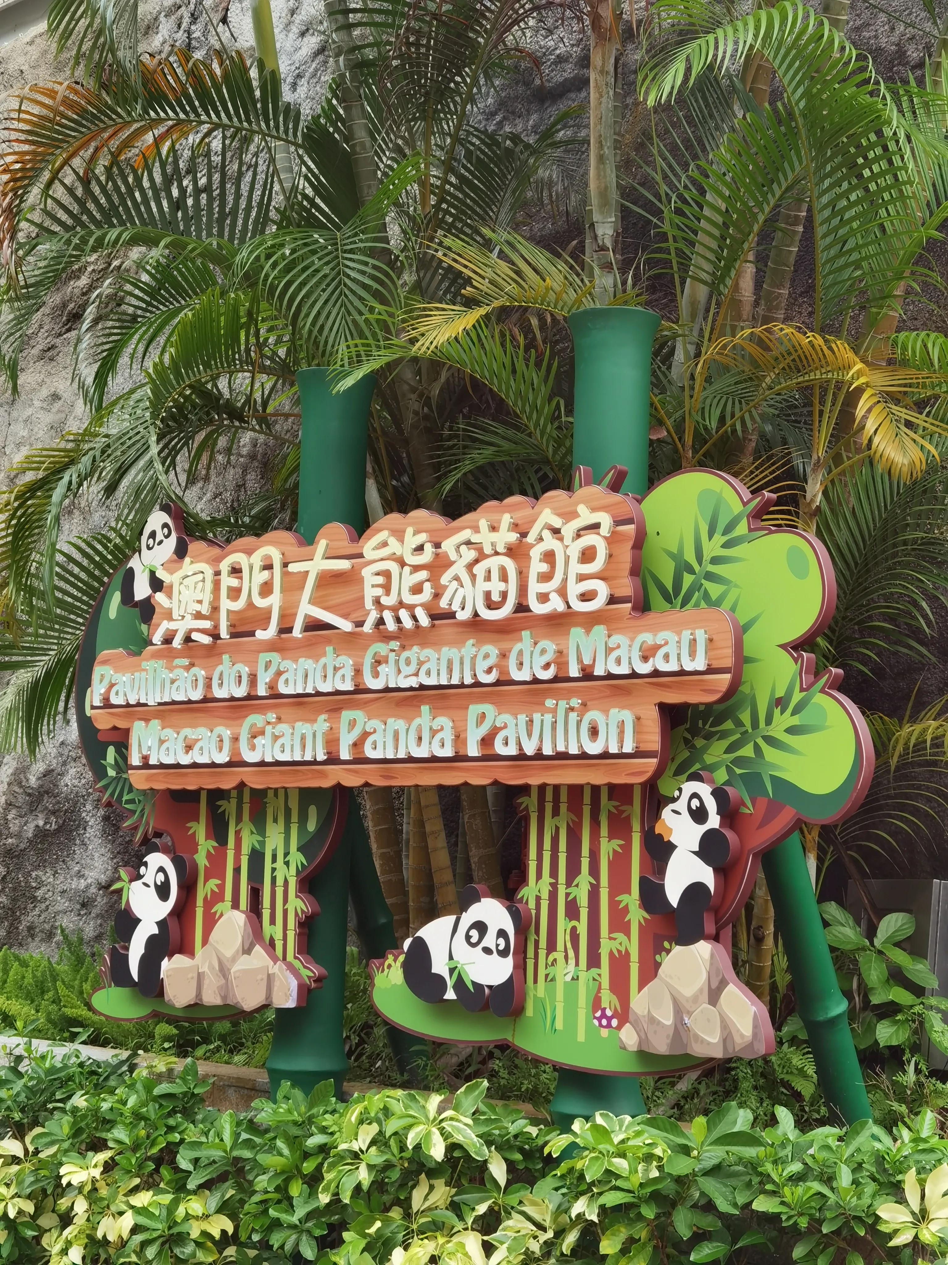 澳门六合走势图239期开奖结果查询表，图表解析与软件下载指南