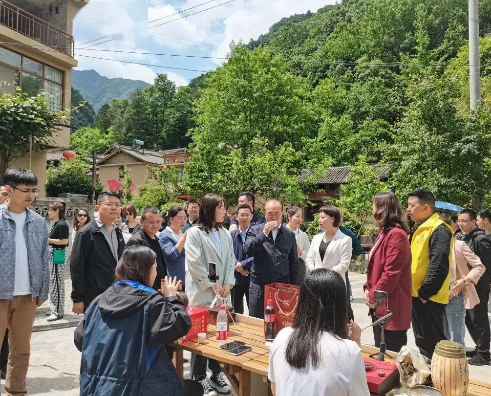 澳门六合开彩开奖直播现场回放视频下载安装手机版指南