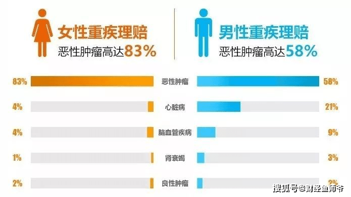 澳门赌牌持有人揭秘，最新信息与图片概览