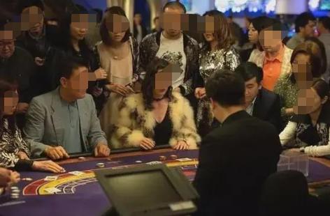 澳门赌牌持有者揭秘，谁是那六张赌牌的真正主人？视频全解析（免费版）