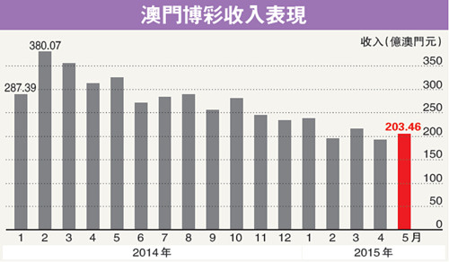 澳门赌牌持有情况深度解析，谁手中的赌牌数量最多？