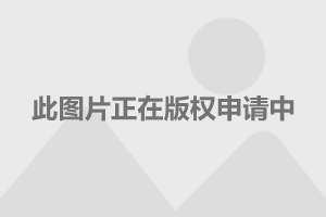 澳门赌牌持有情况深度解析，谁成为了最大的赢家？视频详解揭秘