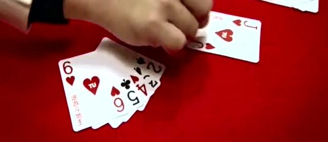 澳门赌牌持有情况揭秘，谁是最大的赢家？