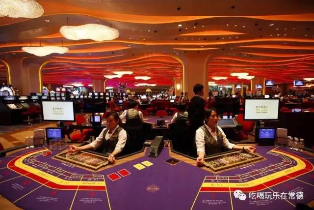 澳门赌牌详解，含义、视频观看与下载指南