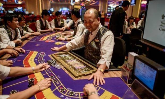 澳门赌牌持有情况揭秘，谁将成为未来的主宰？免费下载知乎文章网站助您一探究竟