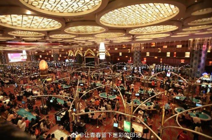 澳门赌牌持有情况揭秘，谁将成为下一个幸运儿？知乎视频无法下载安装的困扰与解决方案