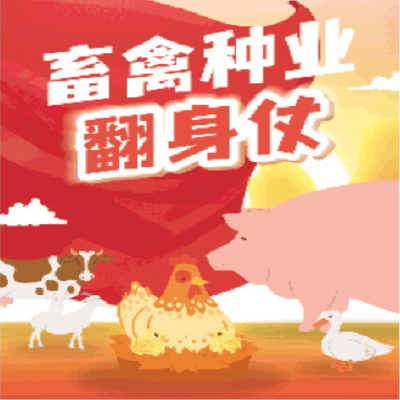 澳门赌牌类型解析，六大赌牌各具特色