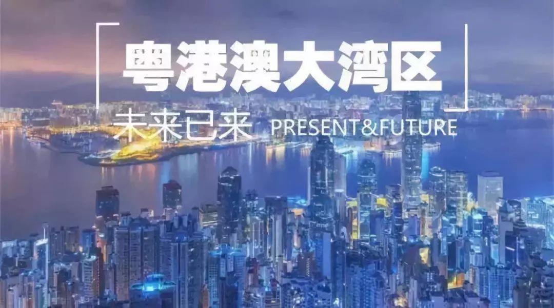 澳门赌牌的意义与在线视频资源探索